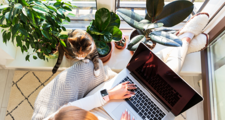 Las mejores fintech para freelancers en los Estados Unidos 2025 Las mejores fintech para freelancers en los Estados Unidos 2025